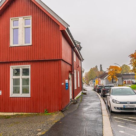 Toppleilighet I Sentrum Av ليلّيهامّير المظهر الخارجي الصورة